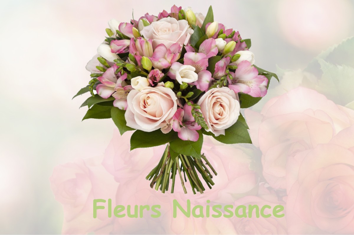 fleurs naissance MAIZEY