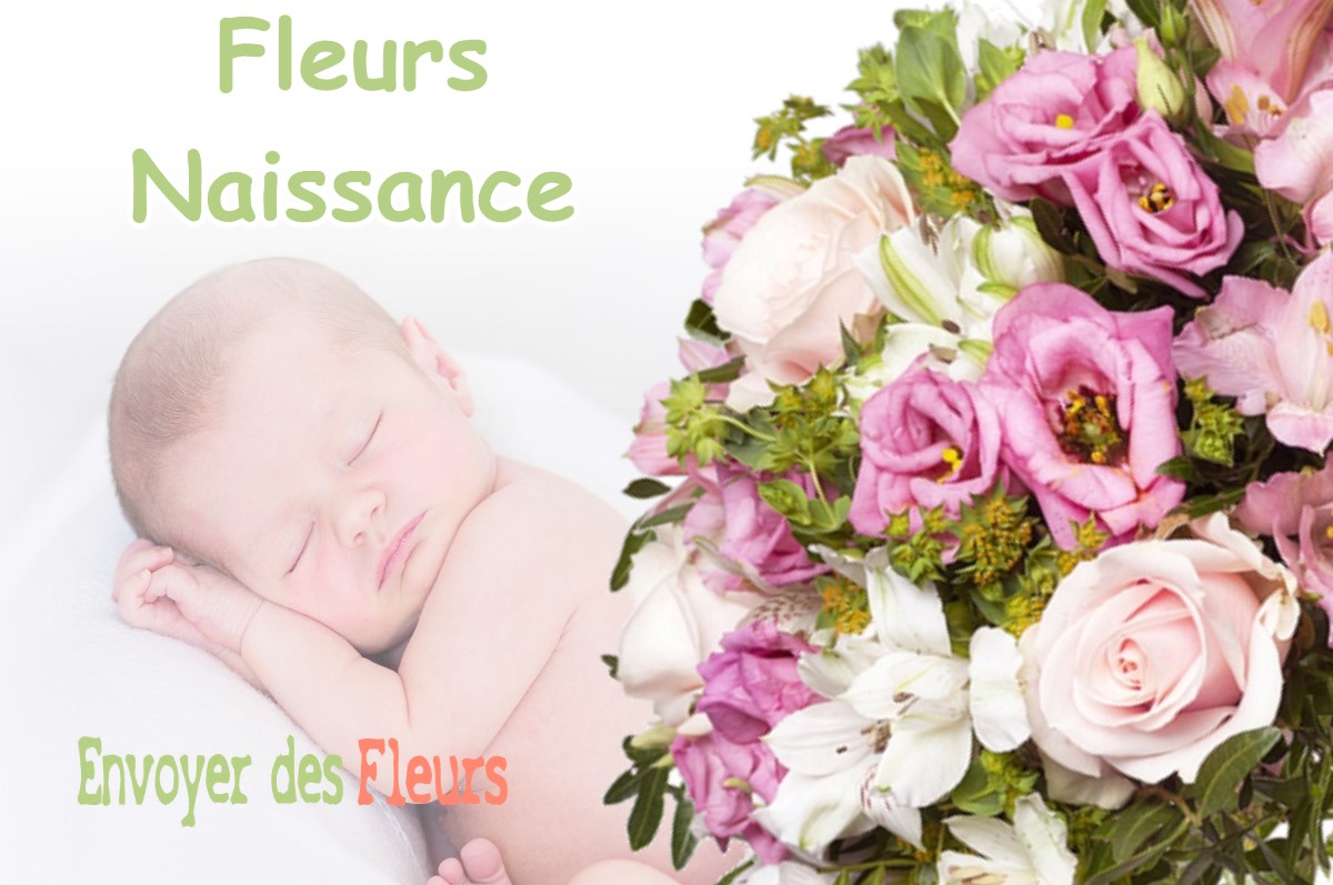 lIVRAISON FLEURS NAISSANCE à MAIZEY